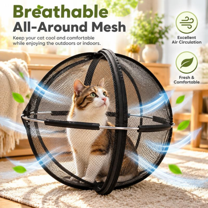360° Mesh